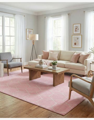 10' x 14' Trellis Frieze Rug