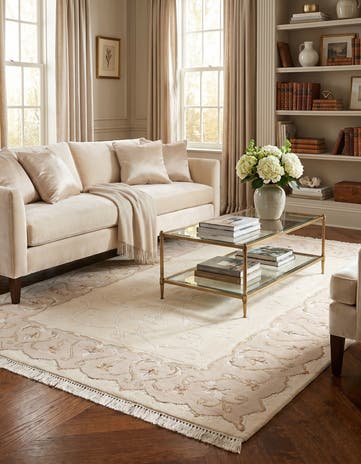 4' x 5' 11 Darya Rug