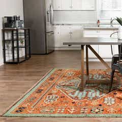 Modern Darya Rugs