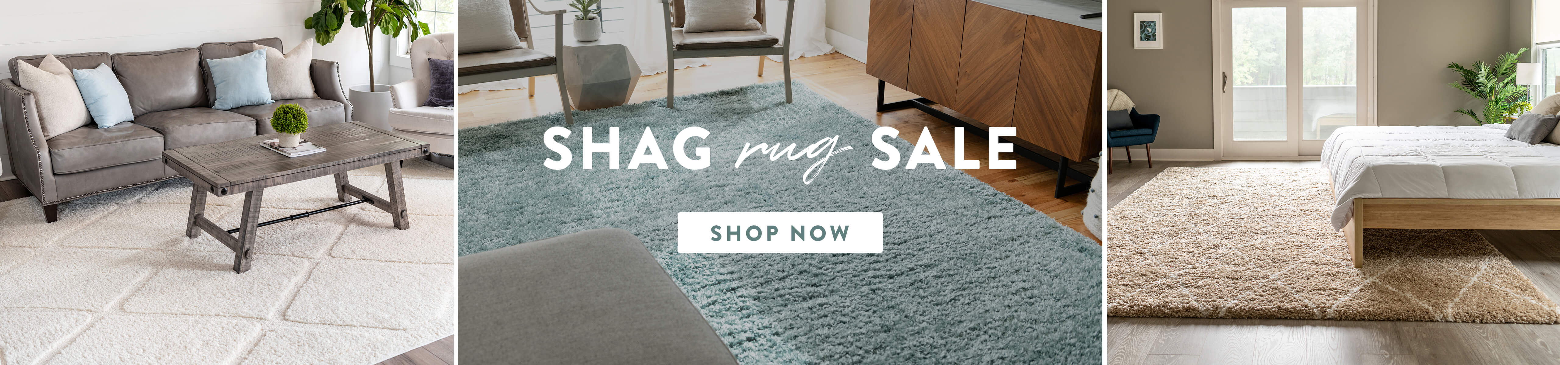 Shag Rug Sale