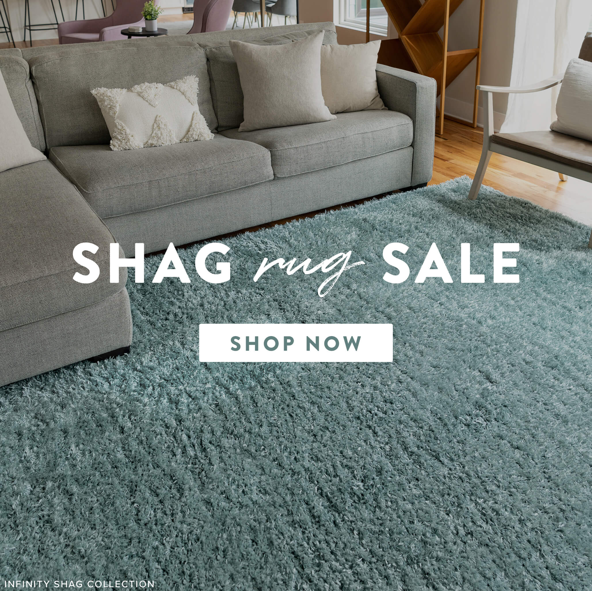 Shag Rug Sale