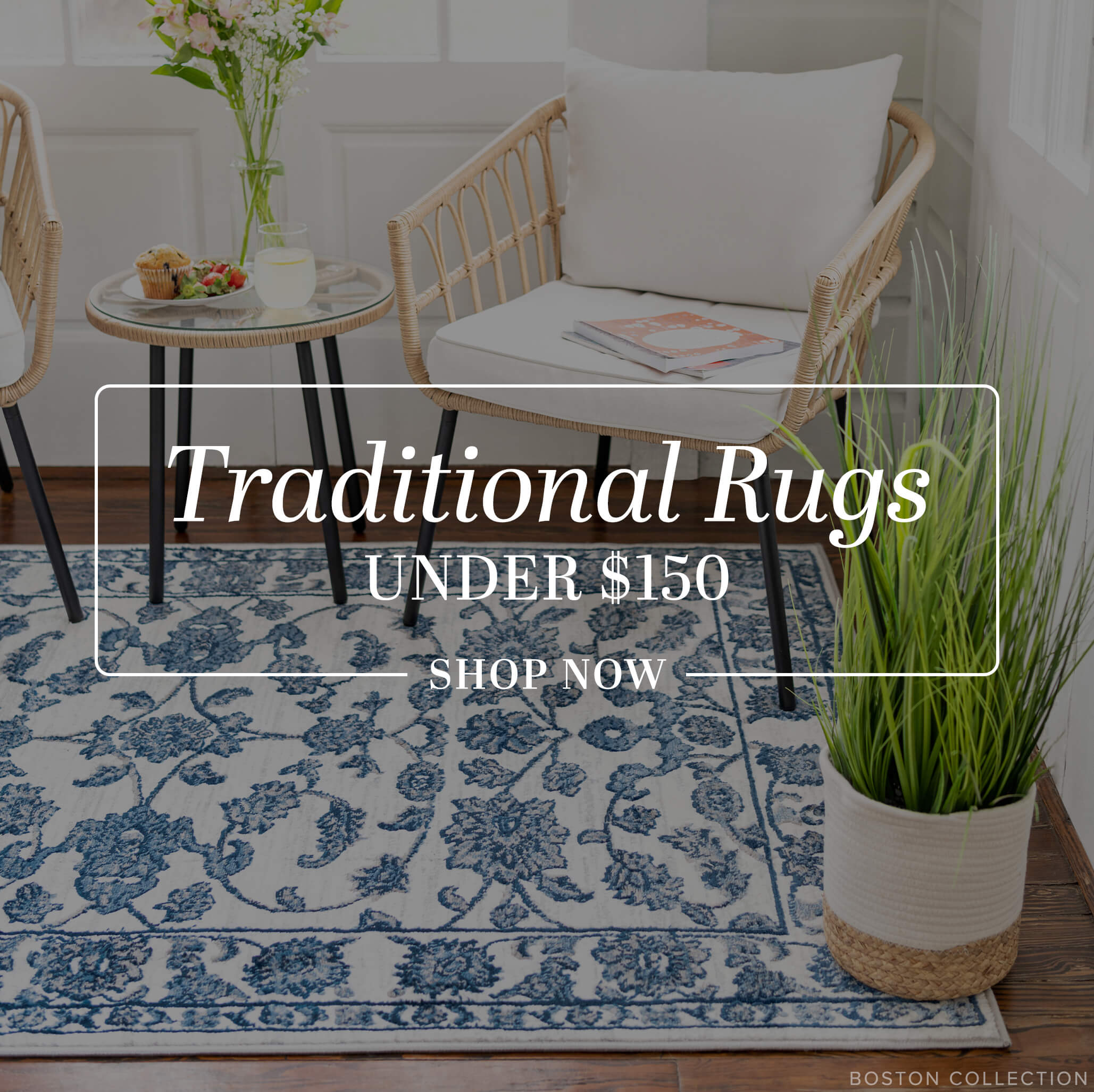 Traditional Rugs under $150