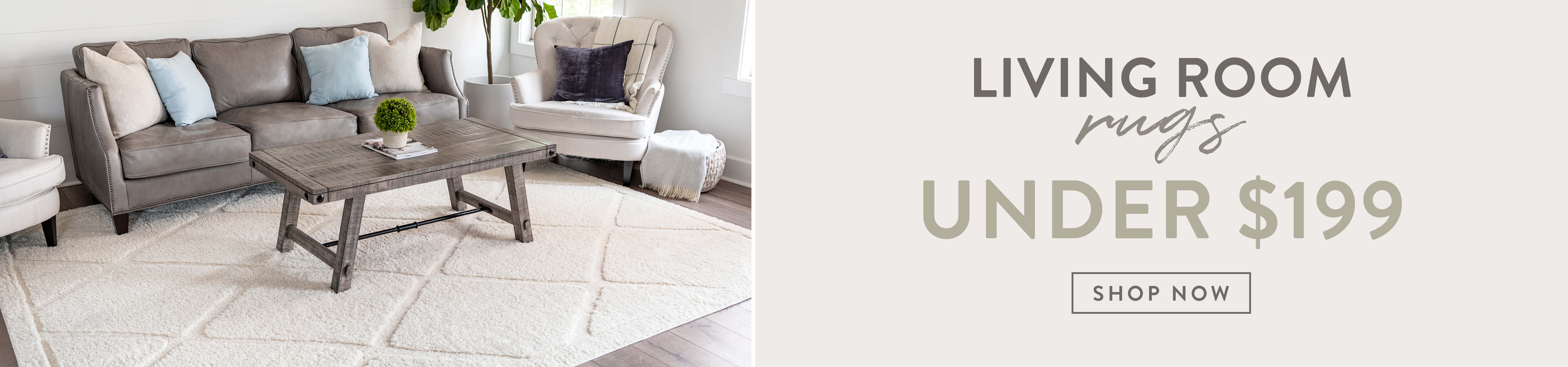 Living Room Rugs under $199