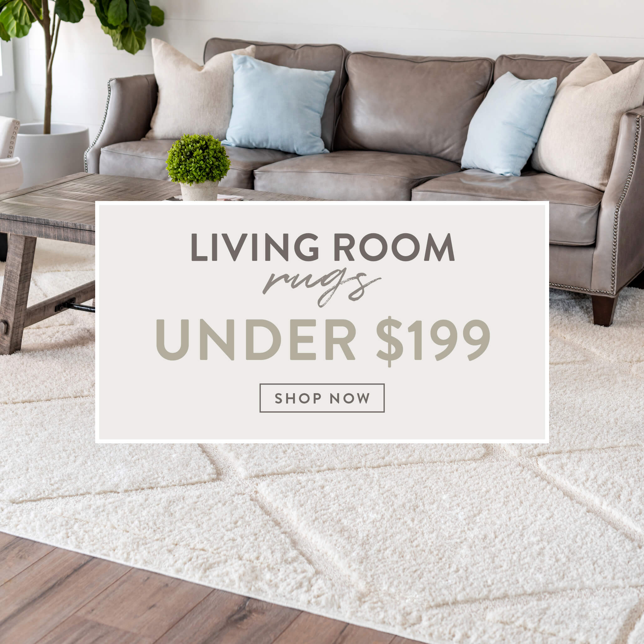 Living Room Rugs under $199
