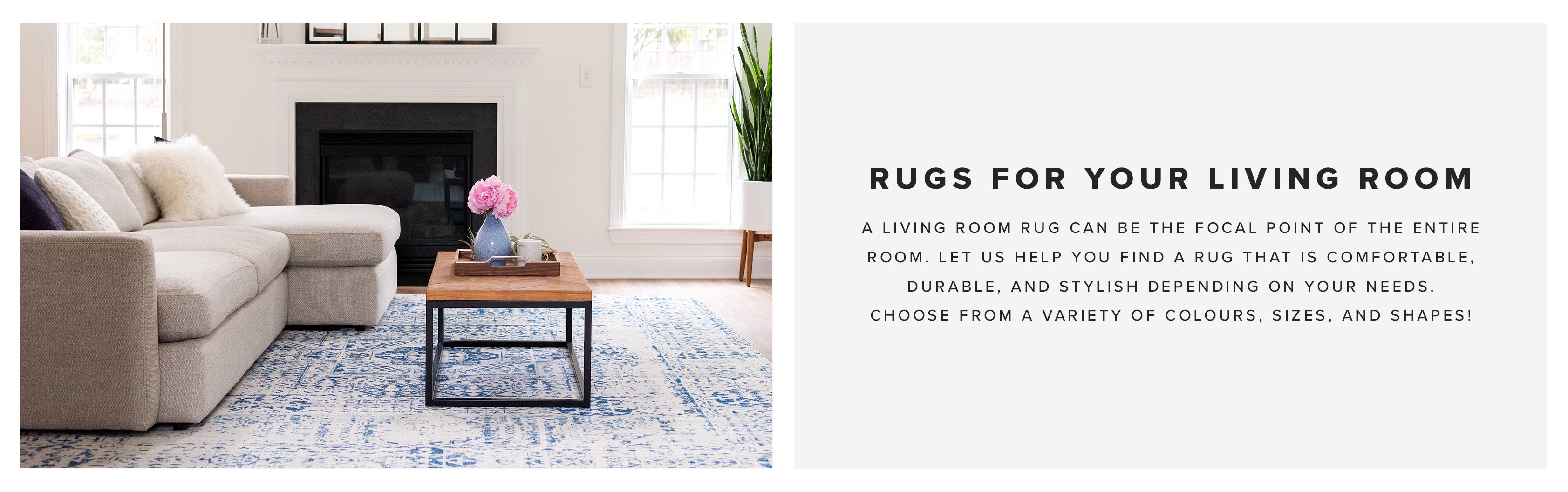 Living Room Rugs