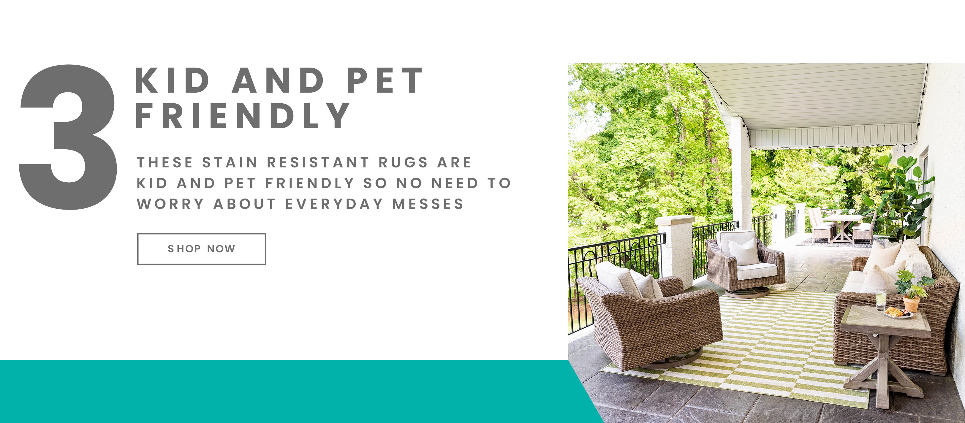 Washable Rugs