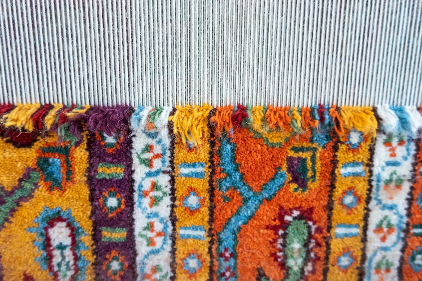 rugs